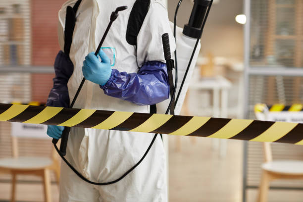 Professional Sewage Cleanup technician working in San Carlos, AZ